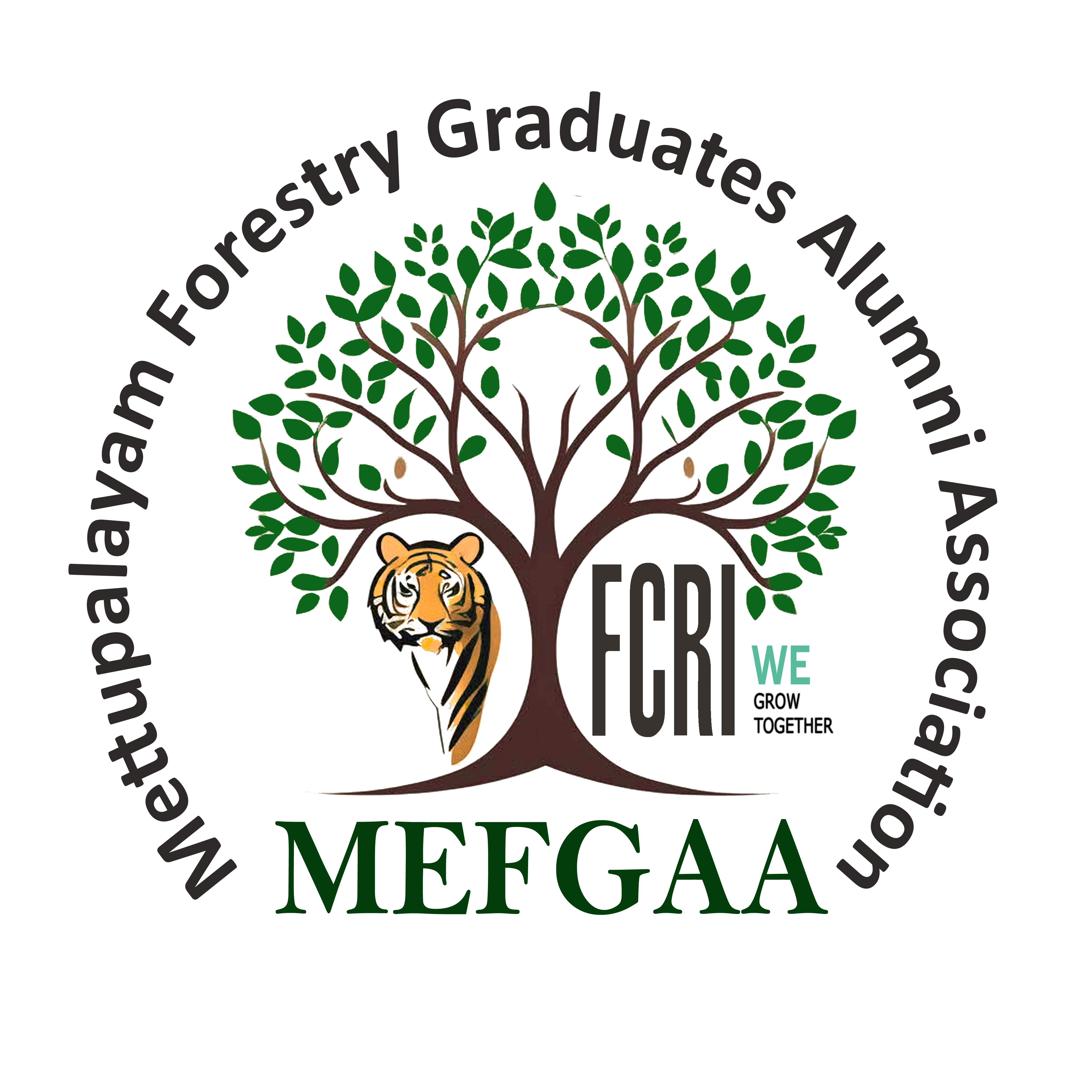  🏛️ MEFGAA Officially Registered — A Historic Milestone